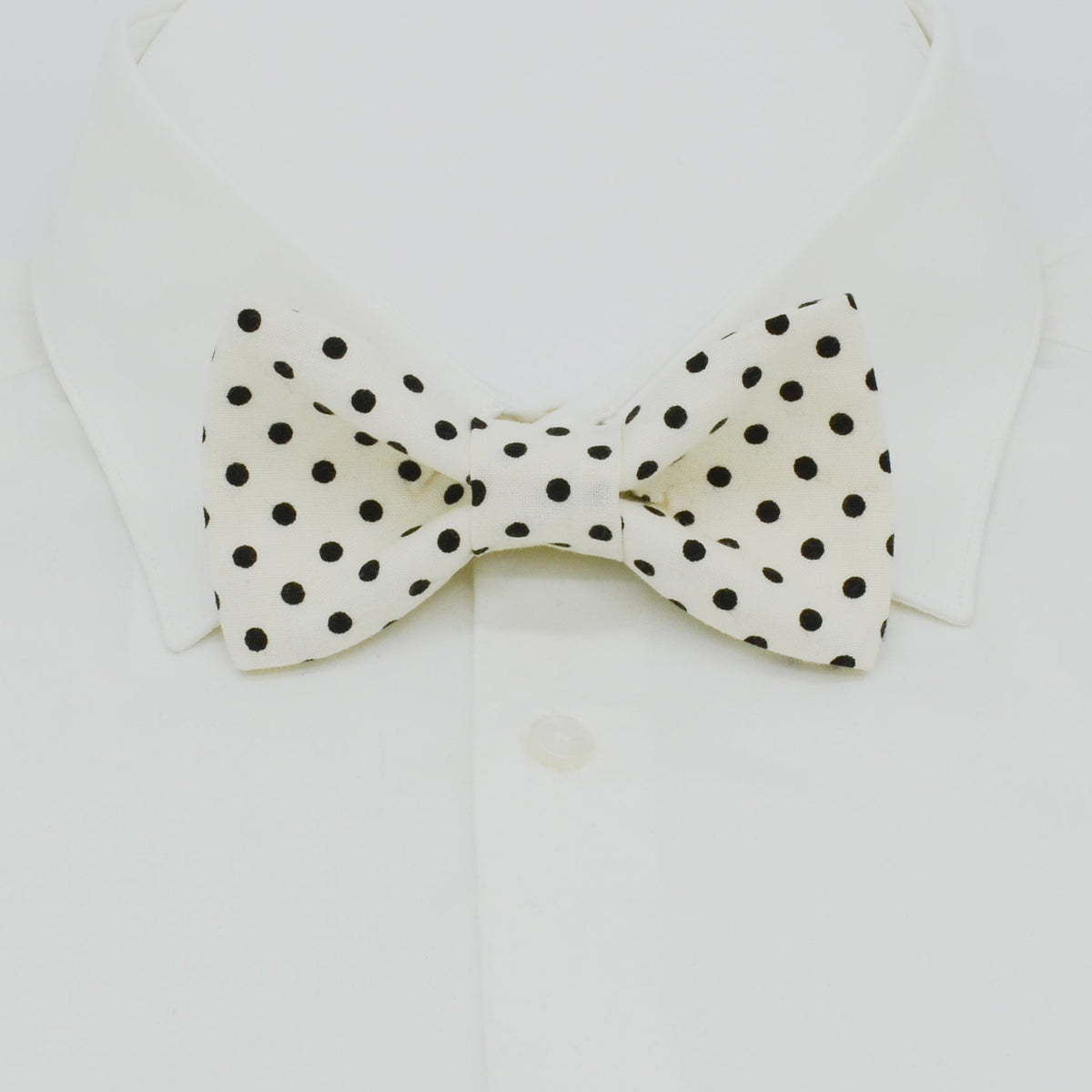 black and white polka dot bowtie