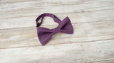 (32-390) Amethyst Bow Tie and/or Suspenders - Mr. Bow Tie
