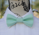 (51-34) Aqua Bow Tie and/or Suspenders - Mr. Bow Tie