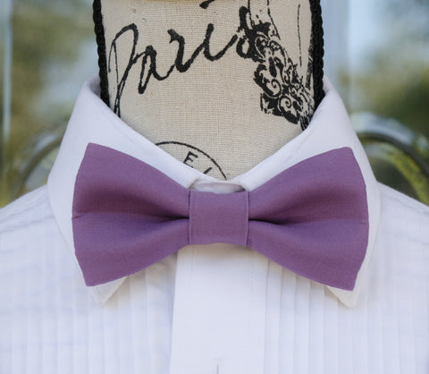 (31-139) Aubergine Bow Tie - Mr. Bow Tie