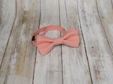 (15-298) Cameo Bow Tie and/or Suspenders - Mr. Bow Tie