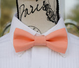 (09-147) Coral Bow Tie - Mr. Bow Tie