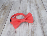 (18-258) Geranium Bow Tie and/or Suspenders - Mr. Bow Tie