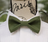 Autumn Green Bow Tie and/or Suspenders (149)