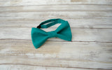 (50-270) Lagoon Medium Teal Bow Tie - Mr. Bow Tie