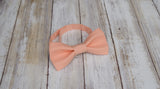 (06-78) Peach Bow Tie and/or Suspenders - Mr. Bow Tie