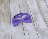 (35-165) Purple Bow Tie - Mr. Bow Tie