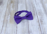 (34-21) Royal Purple Bow Tie - Mr. Bow Tie
