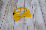 (02-232) Saffron Yellow Bow Tie - Mr. Bow Tie
