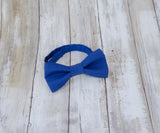 (39-261) Sapphire Bow Tie and/or Suspenders - Mr. Bow Tie